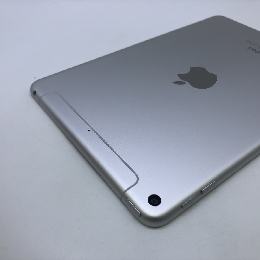 苹果【ipad mini5 7.9英寸(19款)】4g版 银色 256g 国行 99成新
