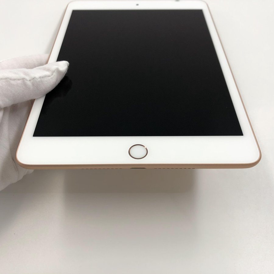 苹果【ipad mini5 7.