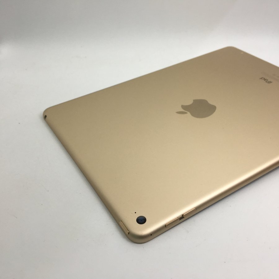 苹果ipadair2wifi版金色32g国行95成新