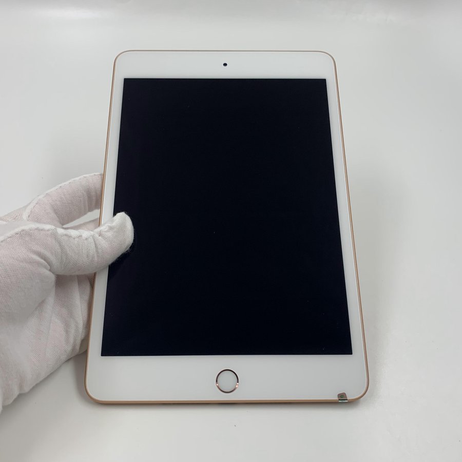 苹果【ipad mini5 7.